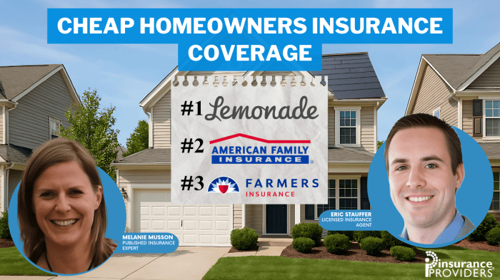 Cheap homeowners insurance