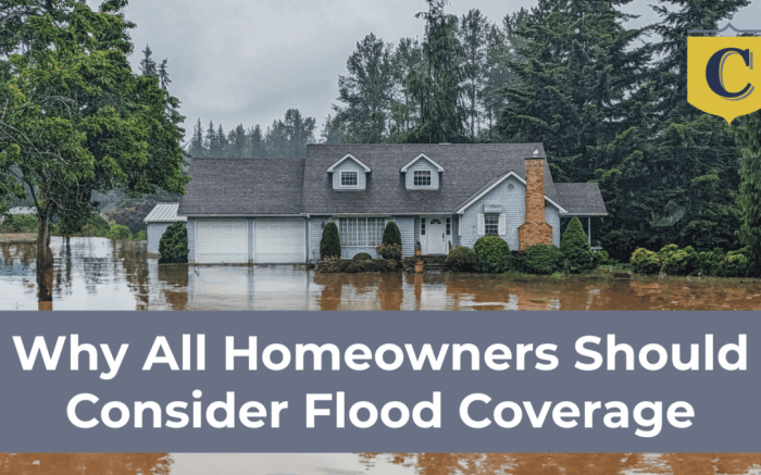 Why All Homeowners Should Consider Flood Insurance
